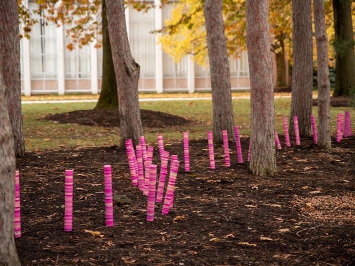 A detail shot of the "Colorwalk" arts installation at Penn State Behrend